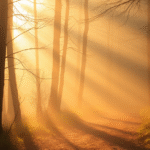 Soft morning light filtering through misty forest path, peaceful contemplative atmosphere, warm golden tones, serene natural setting, no text no words no letters