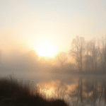 Peaceful morning landscape with soft sunlight breaking through misty trees, serene lake reflection, calm nature scene, no text no words no letters