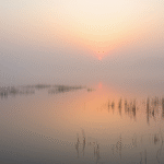 Peaceful sunrise through morning mist over calm lake reflecting light soft pastel colors serenity nature landscape no text no words no letters