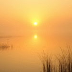 Peaceful sunrise through morning mist over calm lake reflecting soft golden light creating serene atmosphere of hope and clarity no text no words no letters