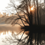 Peaceful meditation scene with soft morning light filtering through trees, serene lake reflection, calming nature setting, no text no words no letters