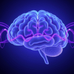Peaceful brain visualization with soft magnetic waves, calming blue and purple tones, serene medical technology concept, no text no words no letters