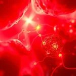 Close-up view of red and infrared light wavelengths penetrating human tissue layers, showing cellular mitochondria glowing with energy, scientific medical illustration style, photorealistic rendering of biological healing process